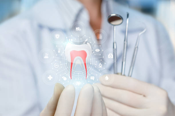 Professional Dental Services in New Smyrna Beach, FL